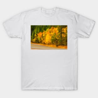 Autumn Yellow Aspen T-Shirt